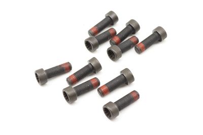FLYWHEEL SCREW / BOLT SET (10) N90665101