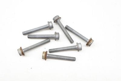 Fuel Injector Rail Screw / Bolt Set (7) N10544903