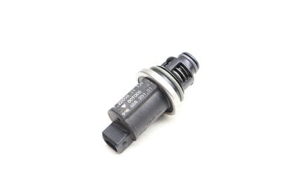 Fuel Vapor Canister Purge Valve