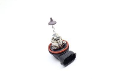 H11 Halogen Bulb N10529701