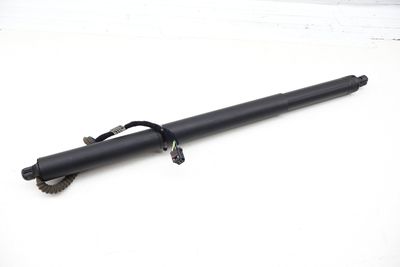 Hatch / Trunk Lid Strut Shock 3CN827851A