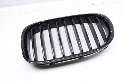 HOOD GRILLE 7295297