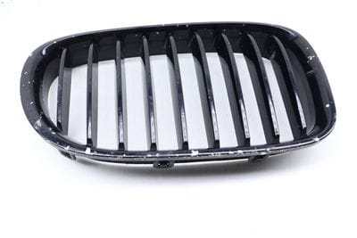 HOOD GRILLE 7295298