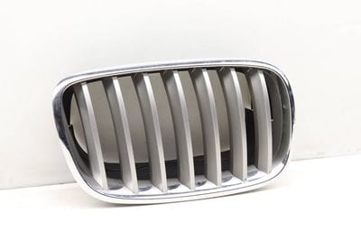 HOOD GRILLE 7185224