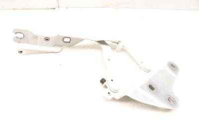 Hood Hinge 41002990359