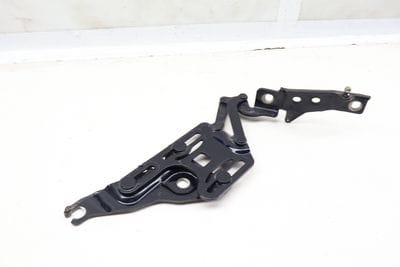 Hood Hinge 41007148347