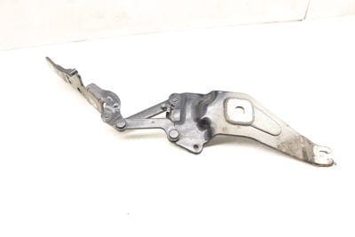 Hood Hinge 41007208628