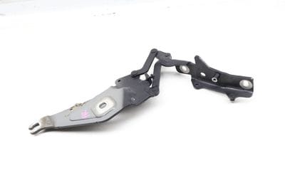 Hood Hinge 41007208628