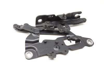 Hood Hinge 41007249887