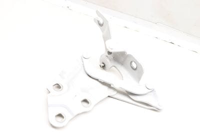 Hood Hinge 41617210730