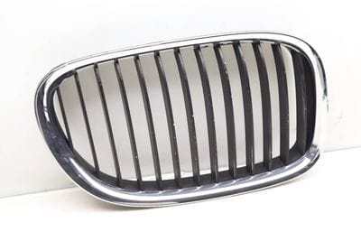 HOOD KIDNEY GRILLE 7184152