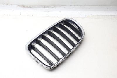 HOOD / KIDNEY GRILLE 7347667
