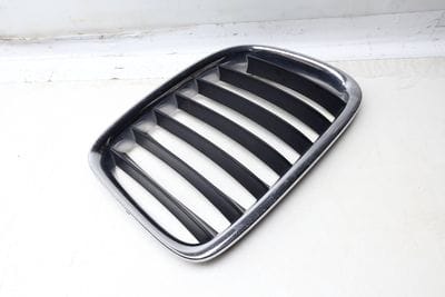 HOOD / KIDNEY GRILLE 7347667