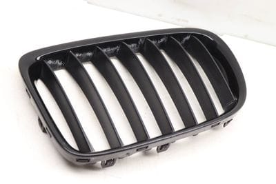 HOOD / KIDNEY GRILLE 7347669