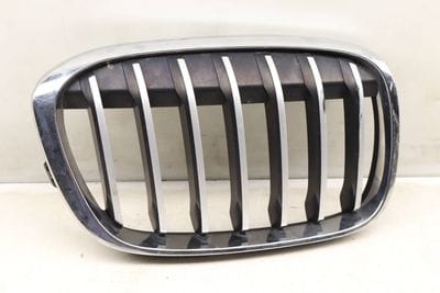 HOOD / KIDNEY GRILLE 7383366