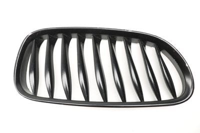 Hood / Kidney Grille 51137051958