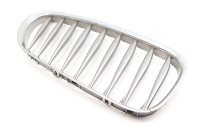 Hood / Kidney Grille 51137051958