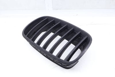 Hood / Kidney Grille 51137171395