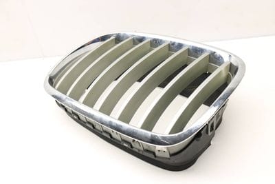 HOOD / KIDNEY GRILLE 7171395