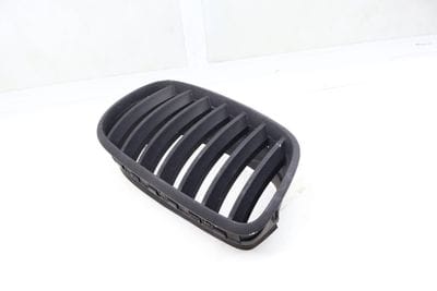 Hood / Kidney Grille 51137171396
