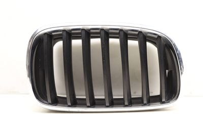 HOOD / KIDNEY GRILLE 7171396