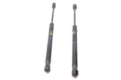 HOOD STRUT / SHOCK ABSORBER SET 7299161