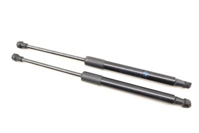 Hood Strut / Shock Set 41612990344