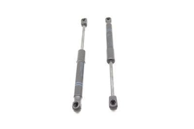 HOOD STRUT / SHOCK SET 7239233