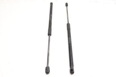 Hood Strut / Shock Set 51237285823