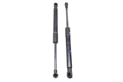 Hood Strut / Shock Set