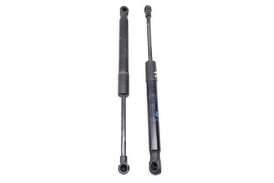 HOOD STRUT / SHOCK SET