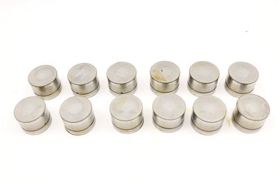 HYDRAULIC LIFTER / CAM FOLLOWER SET (12) 1748884