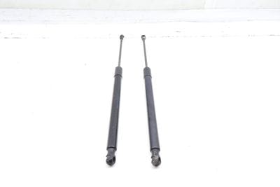 Liftgate / Trunk Hatch Strut Shock Set 5G6827550C