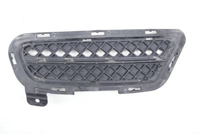 Lower Bumper Grille 51117203799