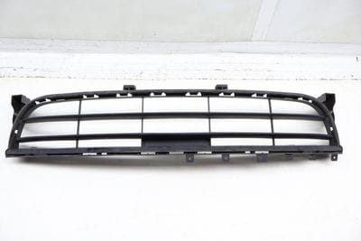 Lower Bumper Grille (CENTER)