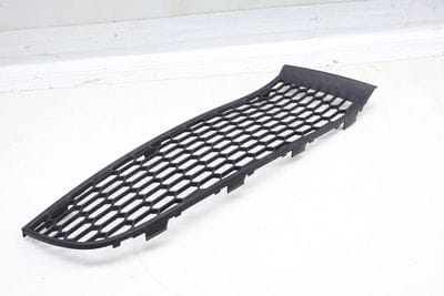 LOWER BUMPER GRILLE (M SPORT) 7903674