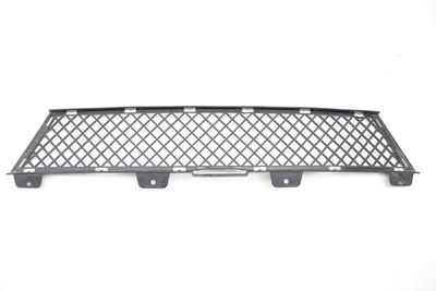 Lower Center Bumper Grille 51117203790