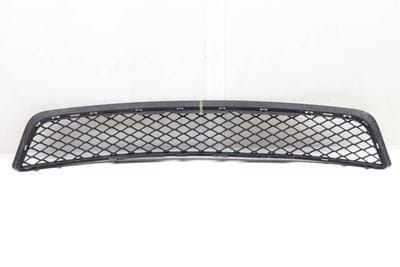 Lower Center Bumper Grille 51117222856