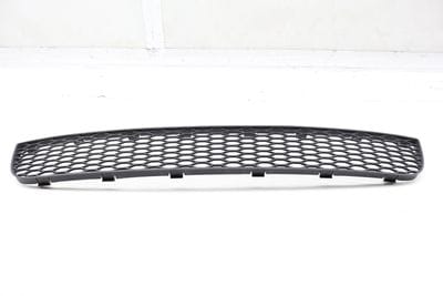 Lower Center Bumper Grille 8N0807683A
