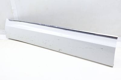 LOWER DOOR BLADE / MOLDING 3CN854939B