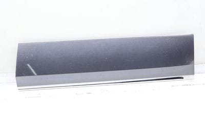 Lower Door Blade / Molding 3CN854950B