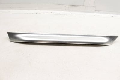 LOWER DOOR BLADE / MOLDING 4Z7853969D