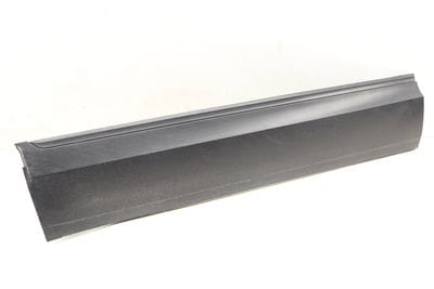 LOWER DOOR MOLDING / BLADE 3CN854939