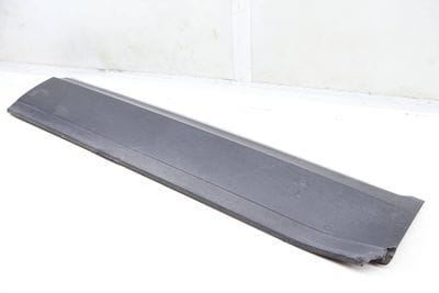 Lower Door Molding / Blade 3CN854940A