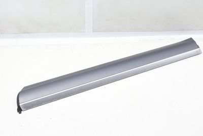 LOWER DOOR MOLDING / BLADE 7L5837788R