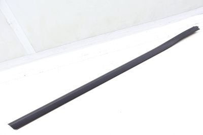 LOWER DOOR MOLDING / TRIM