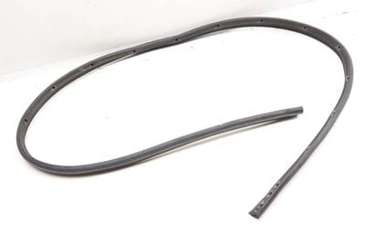 LOWER DOOR WEATHER STRIPPING / SEAL 7341643