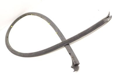 Lower Door Weather Stripping / Seal (OUTER) 5GM839699B