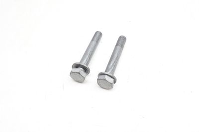 M10x65 SCREW / BOLT SET (2) 9905562