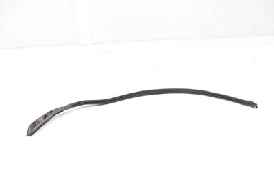 Outer Door Forward Weatherstrip / Seal 4M8839717C